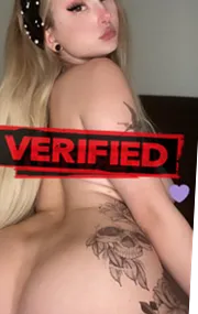 Ashley tits Prostitute Wipperfuerth